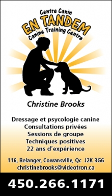 Cartes d'affaires de dressage canin Christine Brooks. Cowansville
